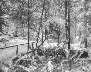 Frink Park, 1907 
- photograph courtesy of Seattle Municipal Archives